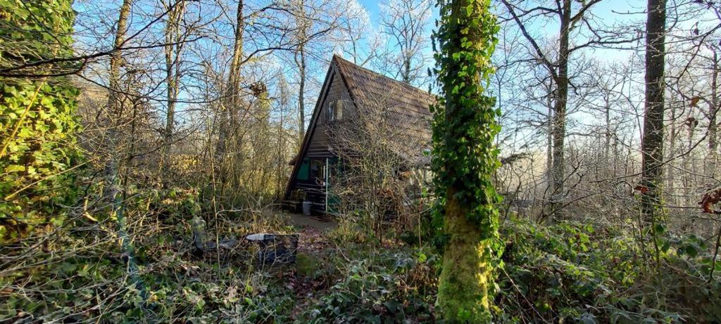 Het Boshuisje In Durbuy Villa Exterior foto