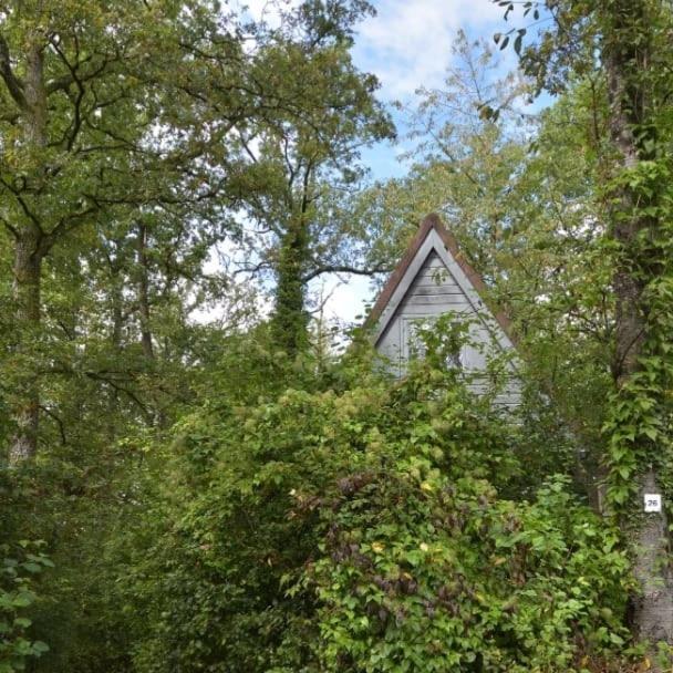 Het Boshuisje In Durbuy Villa Exterior foto